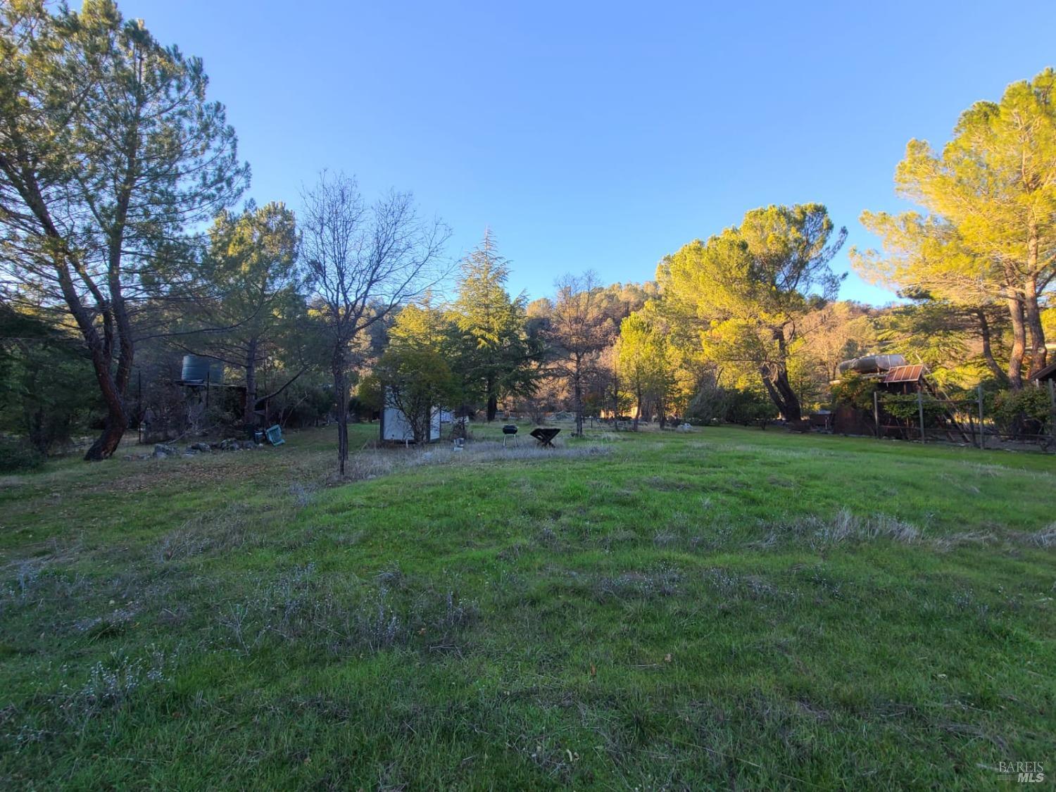32333 Mendocino Pass Road Covelo, CA 95428 - Photo 19 of 22 a view of a park with large trees