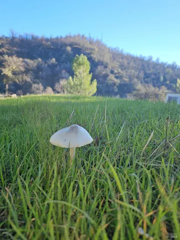 a view of a outdoor space