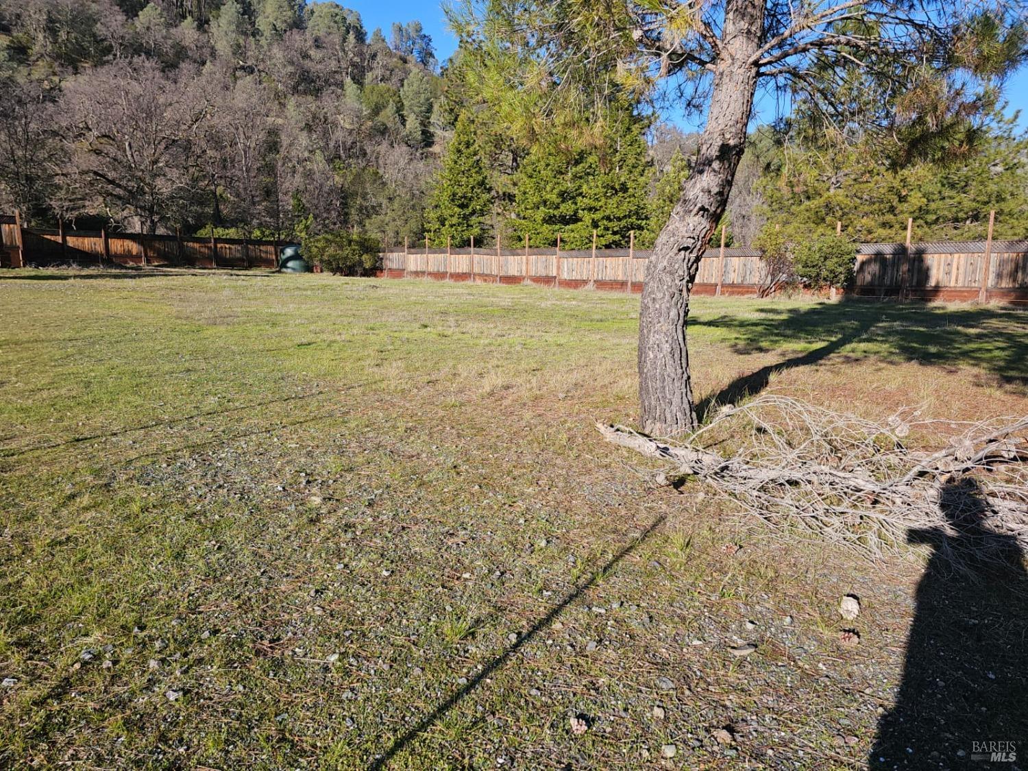 32333 Mendocino Pass Road Covelo, CA 95428 - Photo 5 of 22 a view of yard with trees