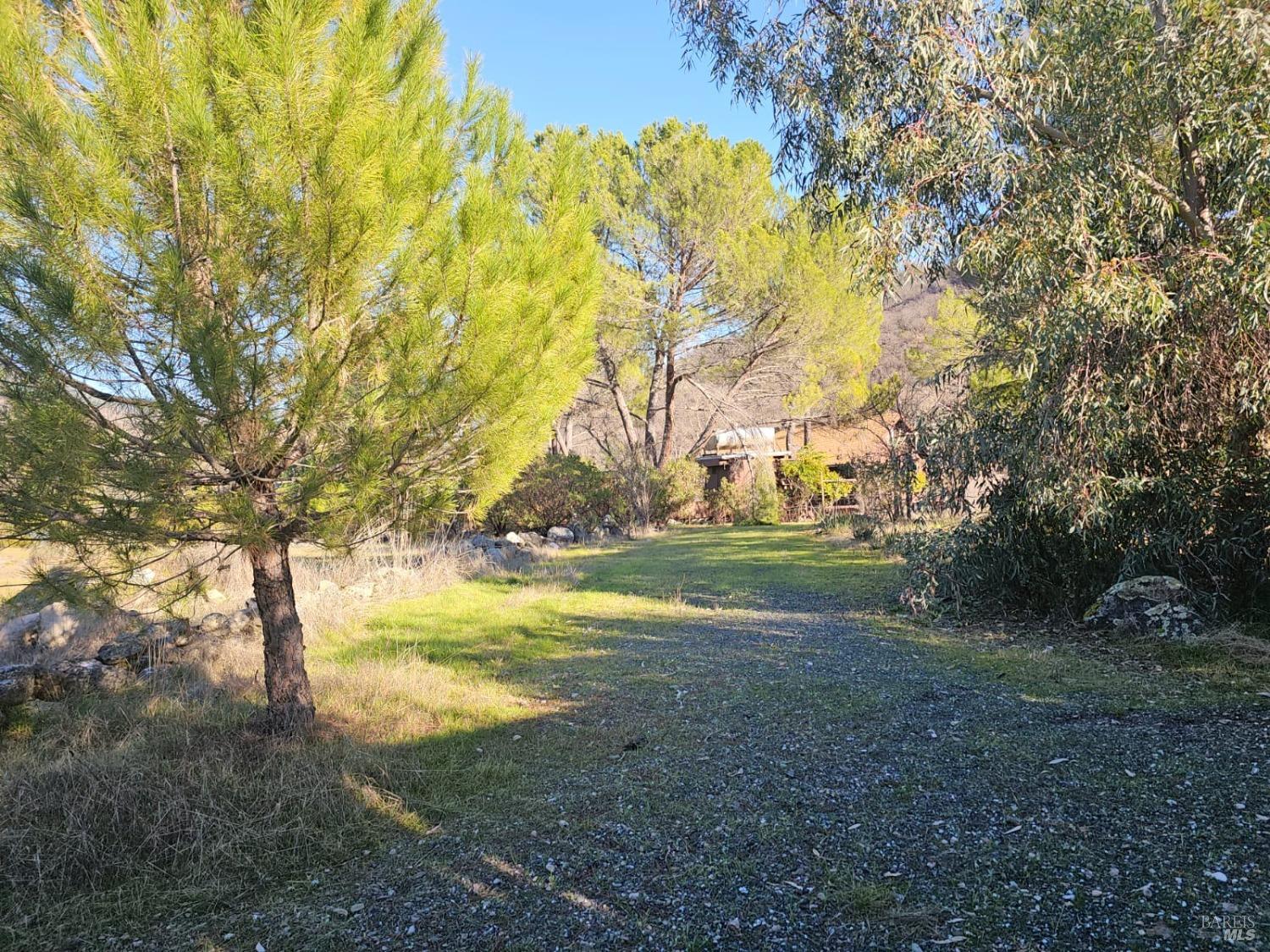 32333 Mendocino Pass Road Covelo, CA 95428 - Photo 8 of 22 a view of yard with green space