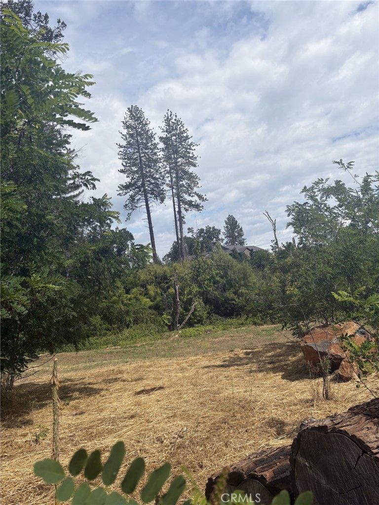 380 Oak Spring Road Paradise, CA 95969 - Photo 9 of 12 a view of a lake view