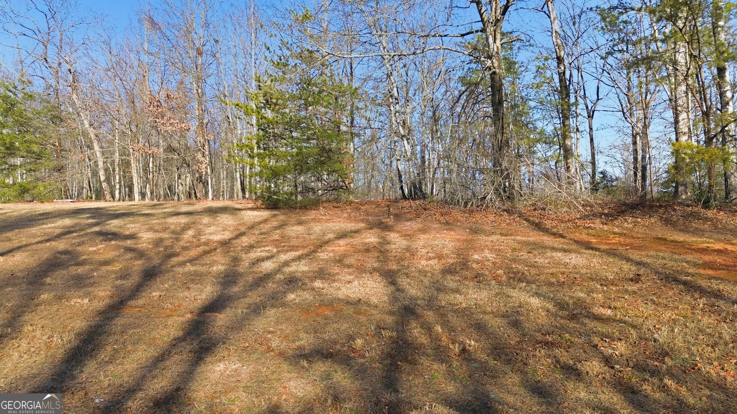 0 Shoals View Clarkesville, GA 30523 - Photo 4 of 22