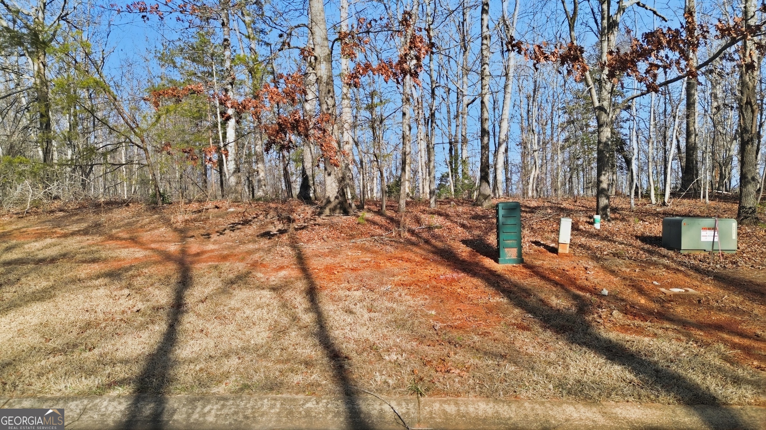 0 Shoals View Clarkesville, GA 30523 - Photo 7 of 22