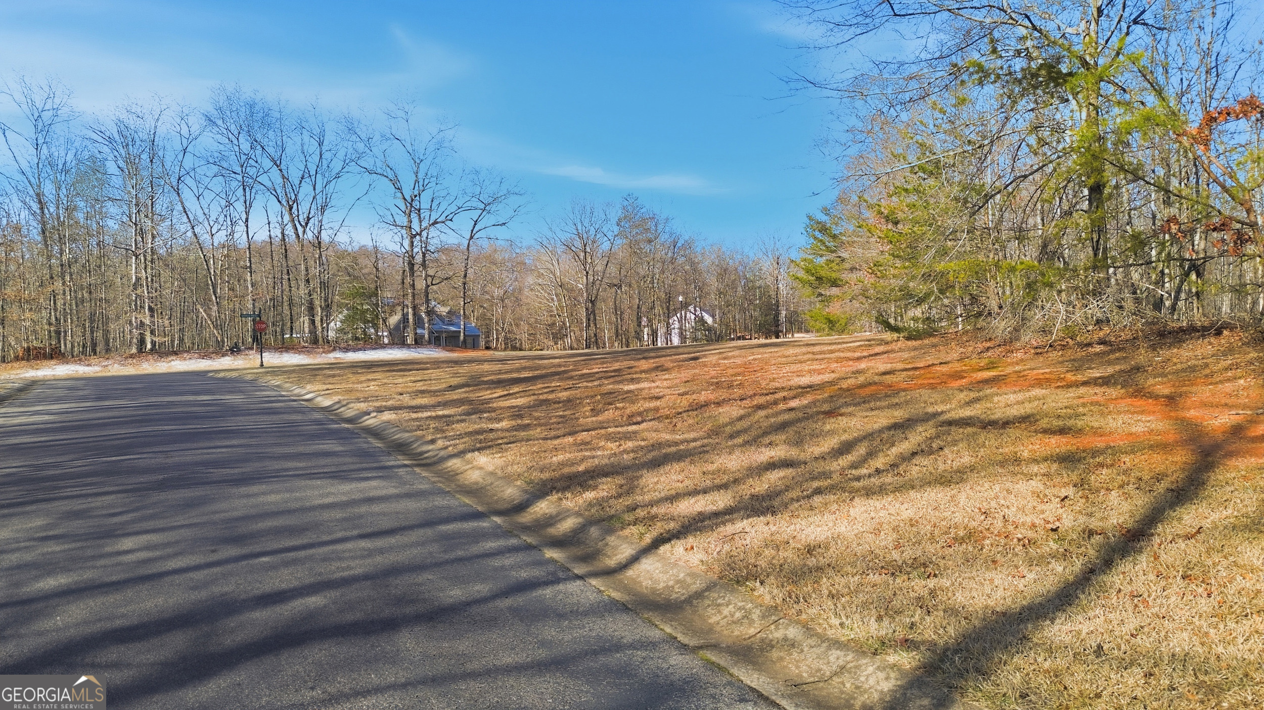 0 Shoals View Clarkesville, GA 30523 - Photo 8 of 22