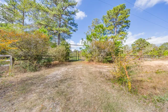 a view of a yard with a tree