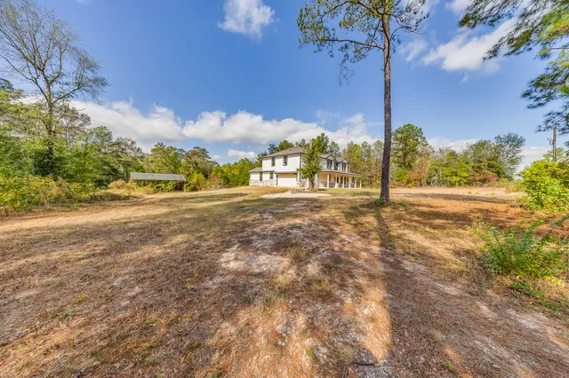 a view of a yard with an tree
