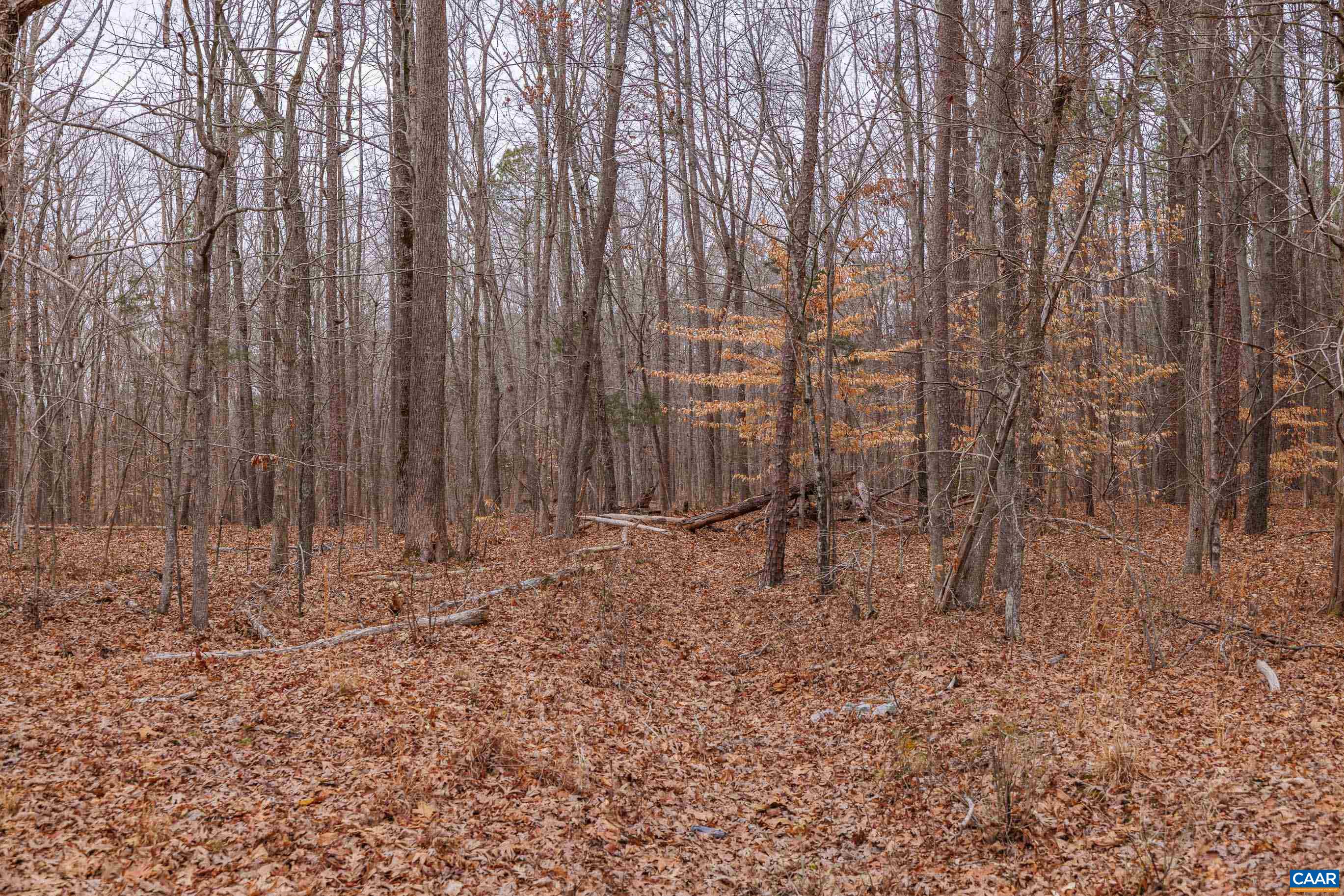 Lot 2 Piney Green Road Crewe, VA 23930 - Photo 29 of 32