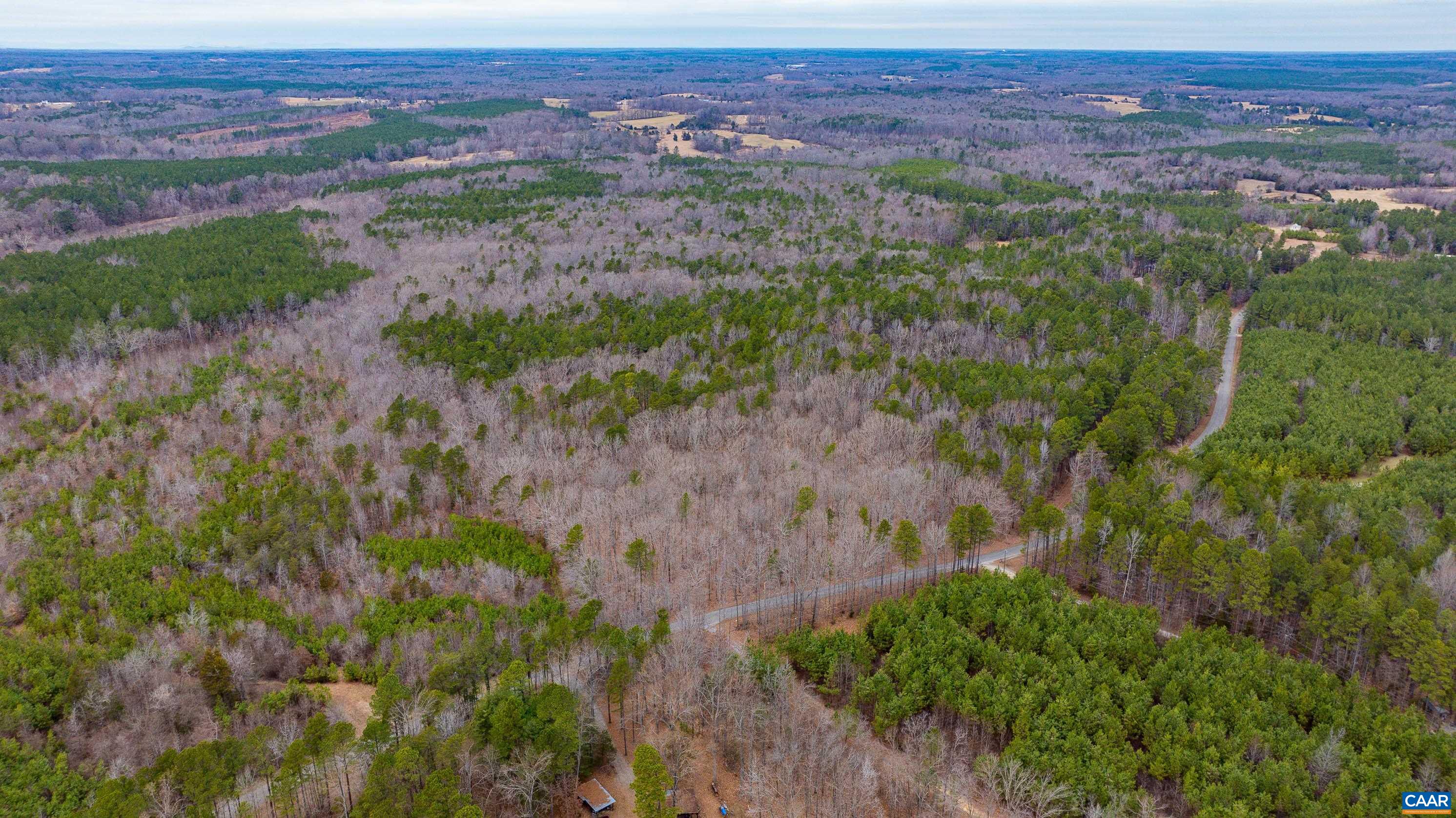 Lot 2 Piney Green Road Crewe, VA 23930 - Photo 3 of 32