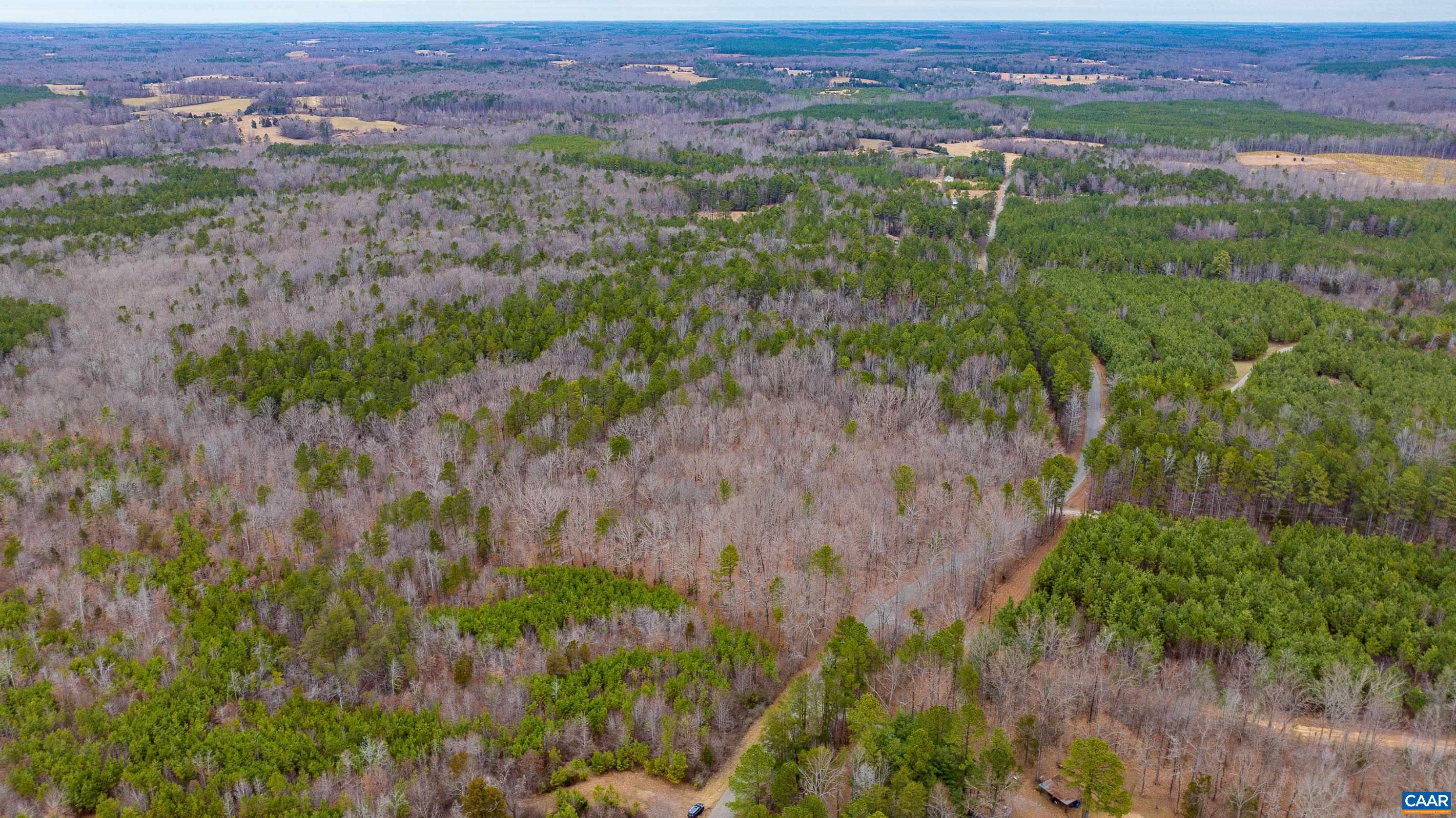 Lot 2 Piney Green Road Crewe, VA 23930 - Photo 4 of 32