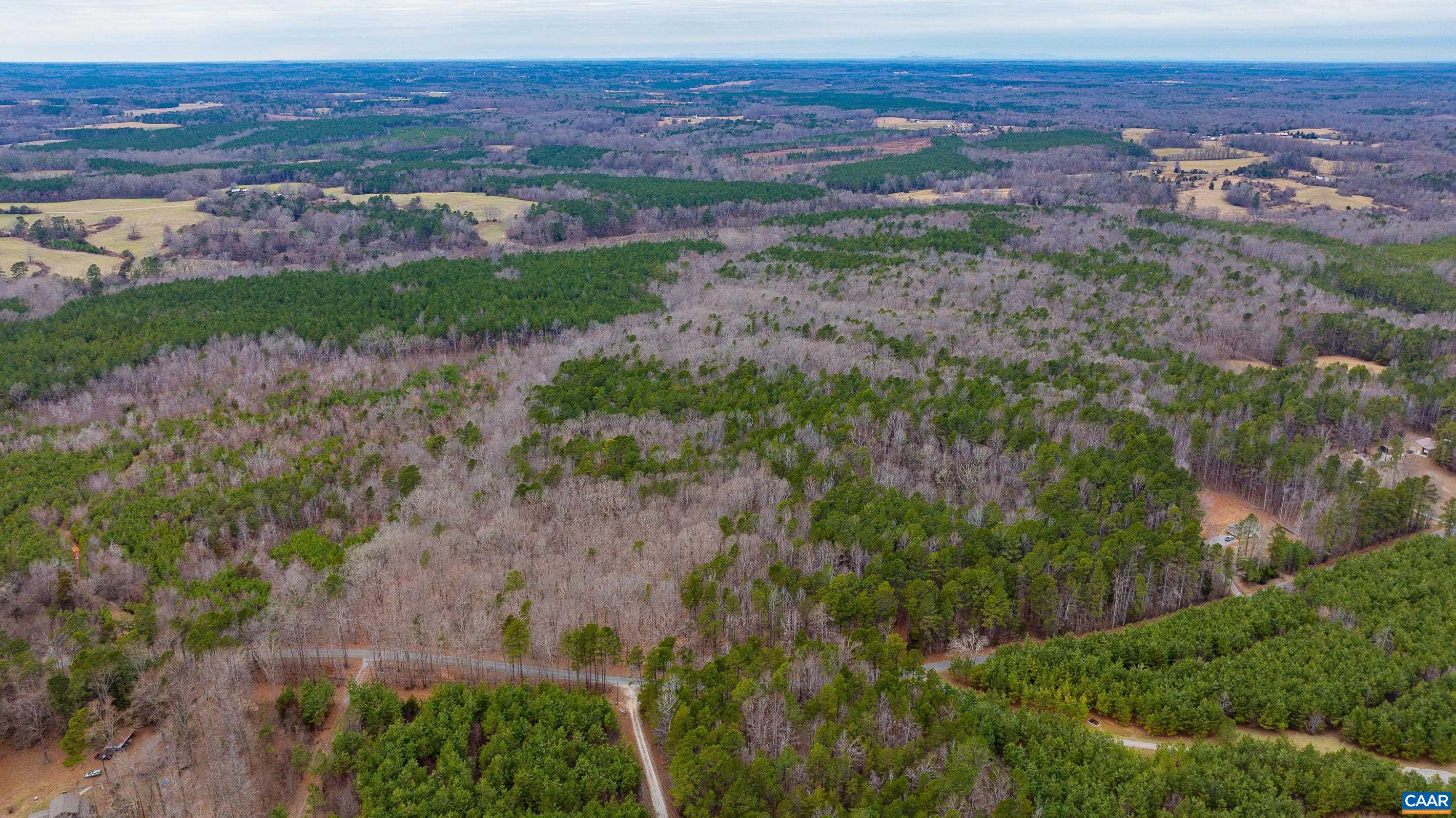 Lot 2 Piney Green Road Crewe, VA 23930 - Photo 8 of 32