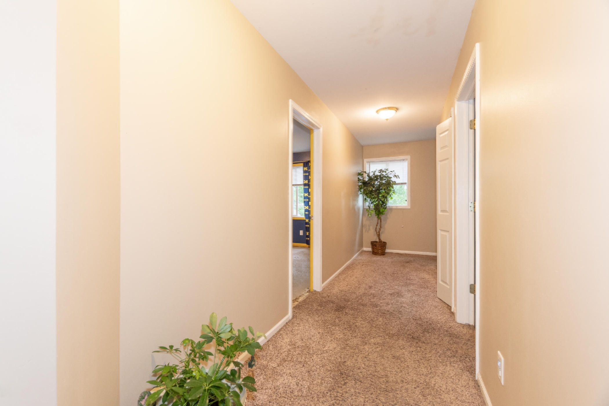 Upstairs Hallway