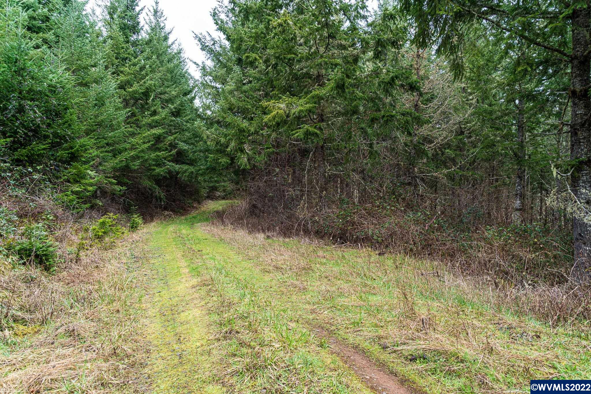 Na Green Peak Road Monroe, OR 97456 - Photo 3 of 26 Gallery Image 3