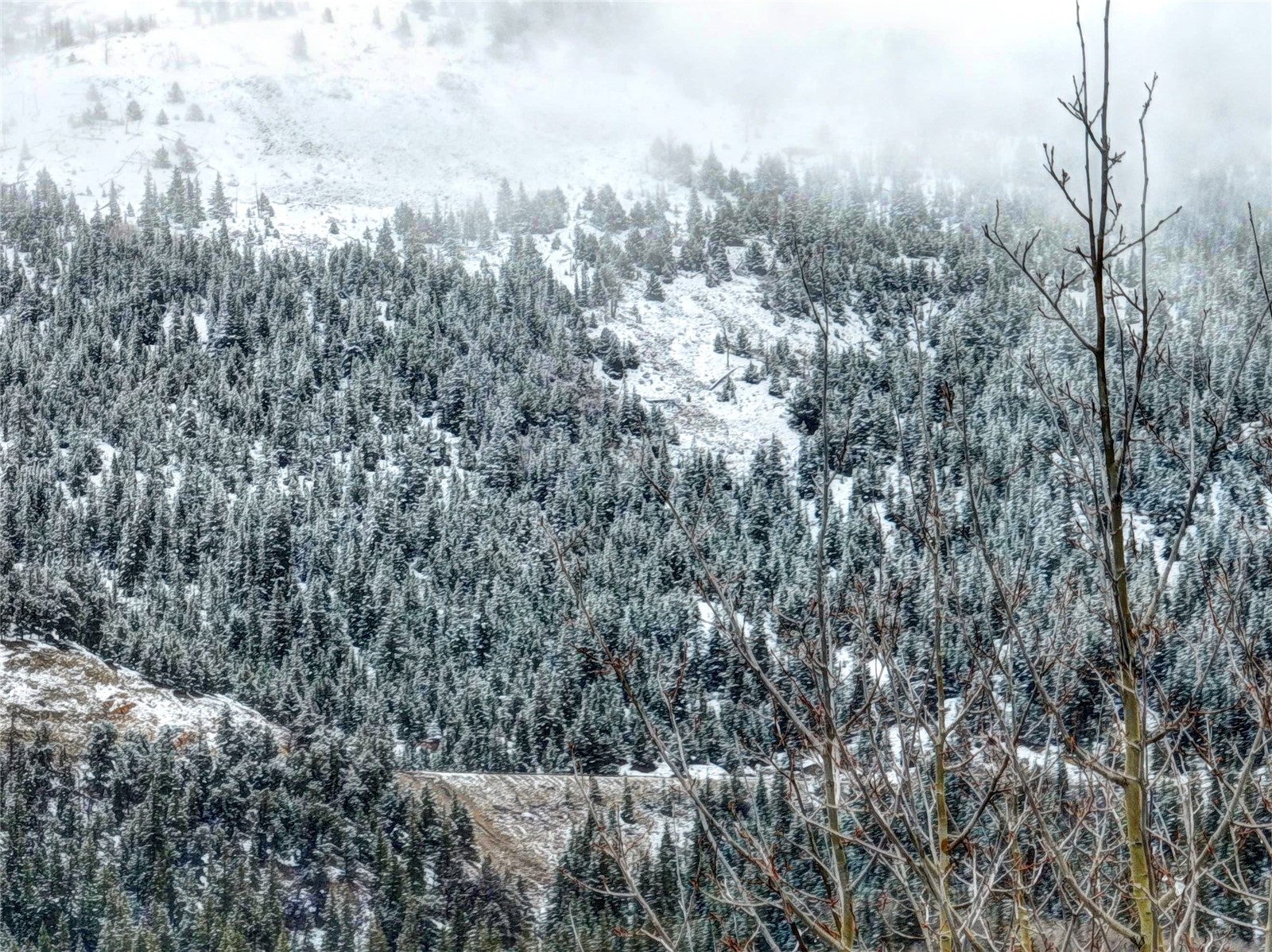 491 Mine Dump Road Alma, CO 80420 - Photo 10 of 14 View of snowy view