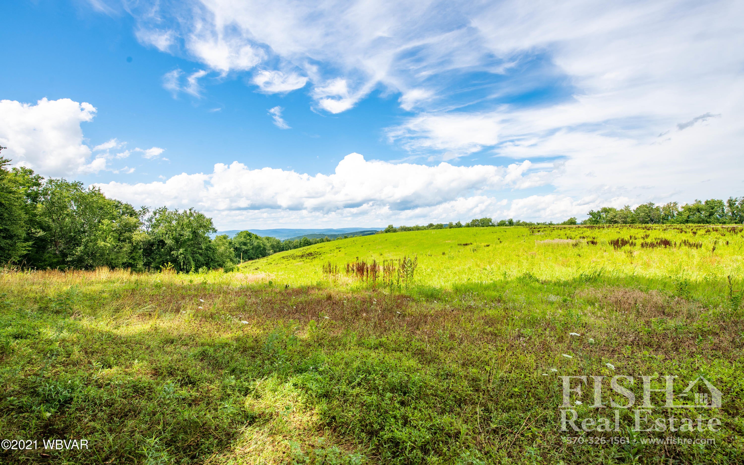 Hill Road Muncy, PA 17756 - Photo 1 of 4 Gallery Image 1