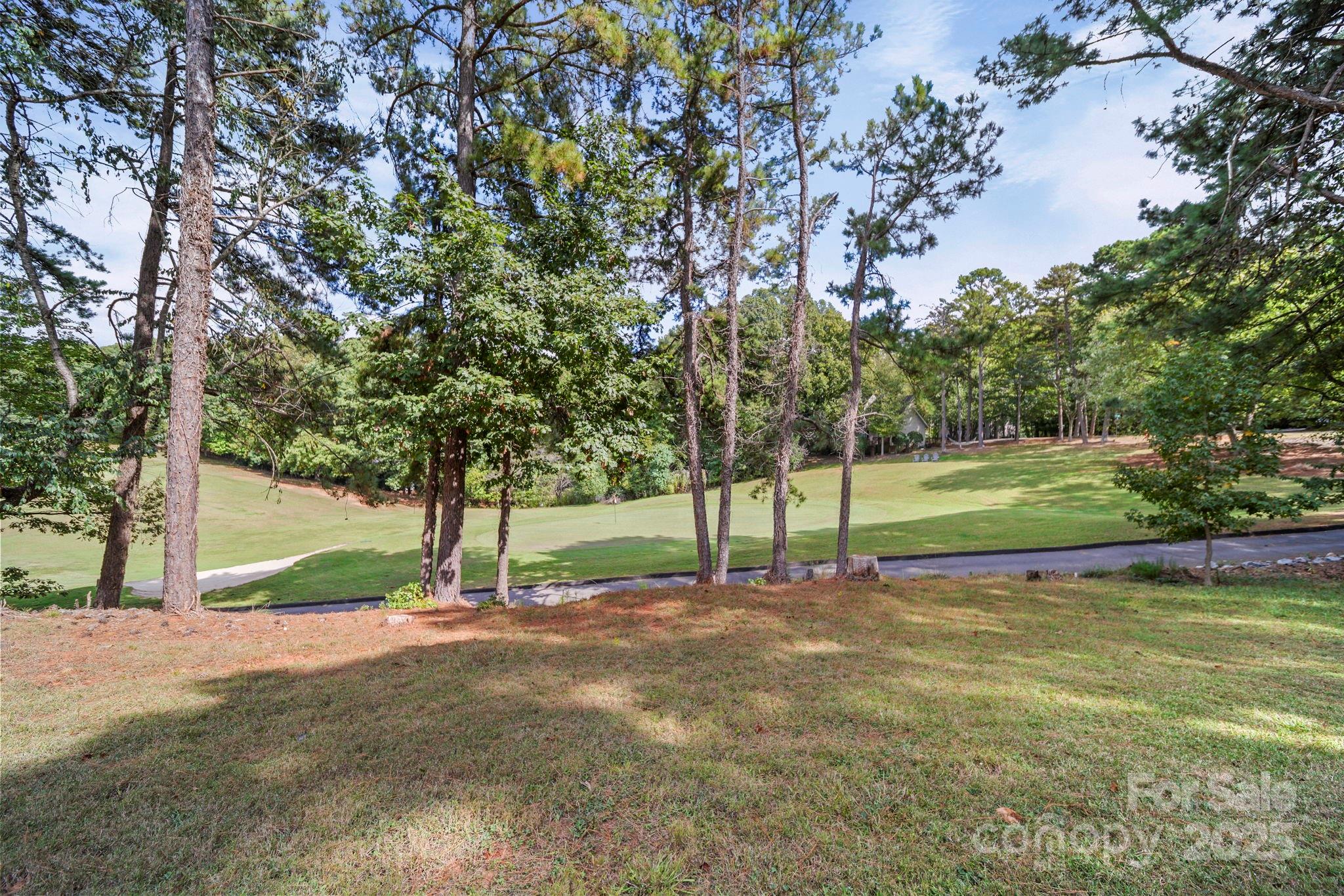 1215 Molokai Drive Fort Mill, SC 29708 - Photo 23 of 25 a view of a park with tree s