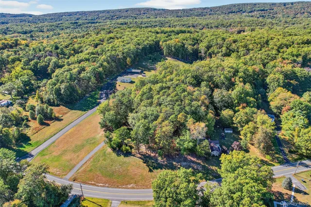 a view of a city with lush green forest