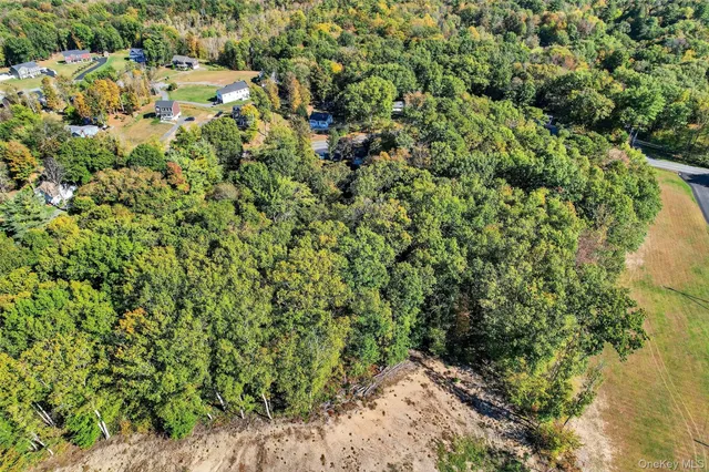 a view of a large yard with plants and large trees