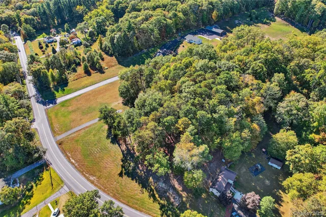 a view of a yard with plants