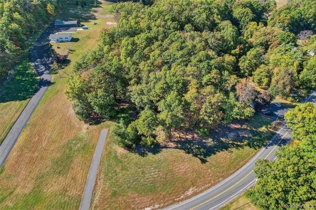 a view of a garden with plants