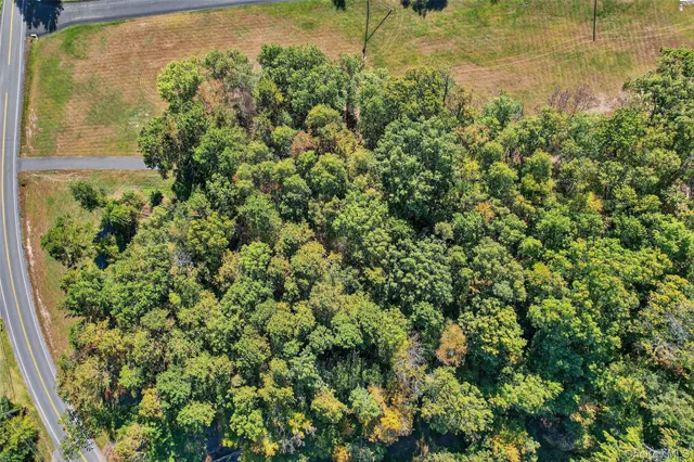 an aerial view of residential house with parking space and covered with trees