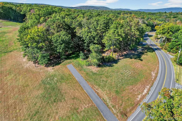 a view of a yard with plants