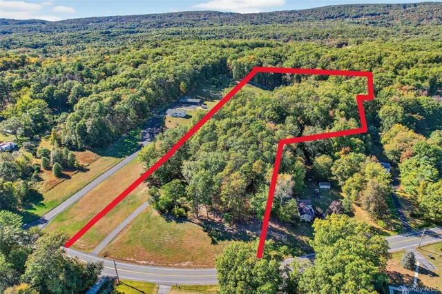 a view of a flower in a yard