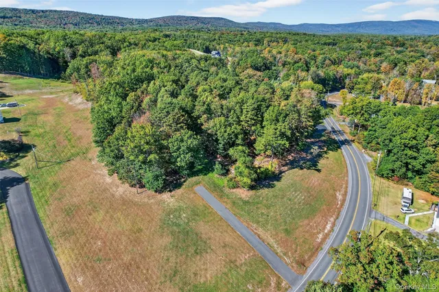 a view of a garden with a lake