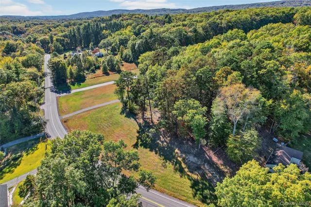 a view of a yard with plants