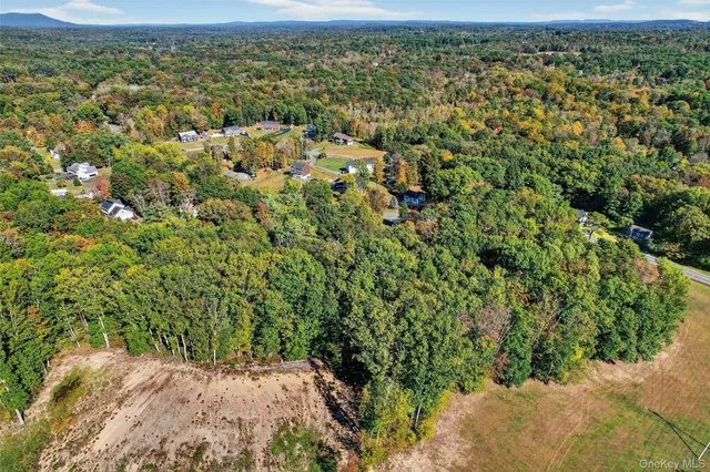 a view of a yard with plants