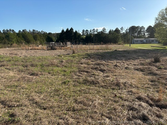 698 Bear Bay Road Lumberton, NC 28358 - Photo 3 of 6 a view of dirt field with trees