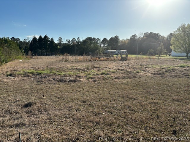 698 Bear Bay Road Lumberton, NC 28358 - Photo 4 of 6 a view of a field with trees in the background