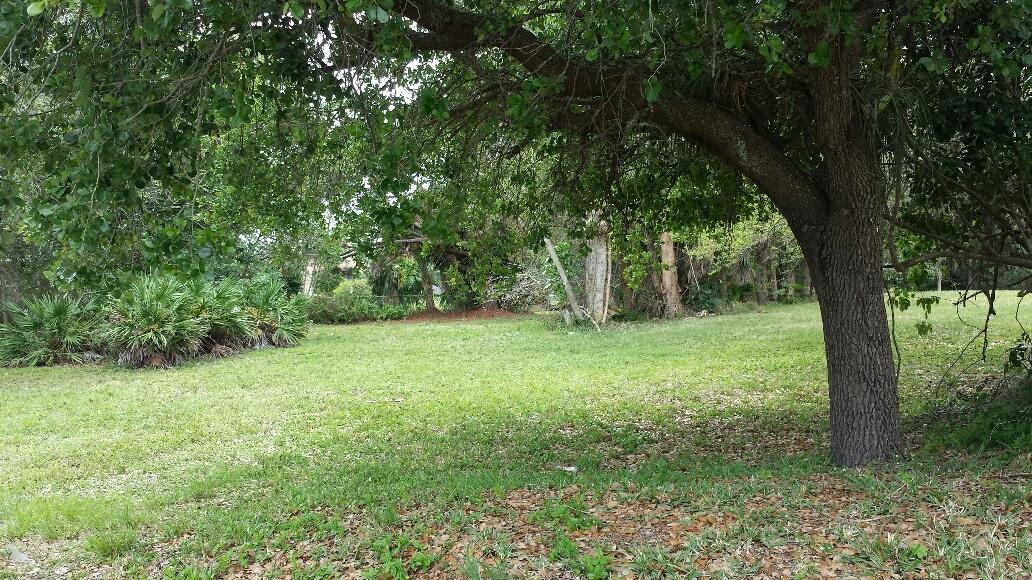 Lot Loxahatchee Loxahatchee River Road Jupiter, FL 33458 - Photo 10 of 14 Lot South View