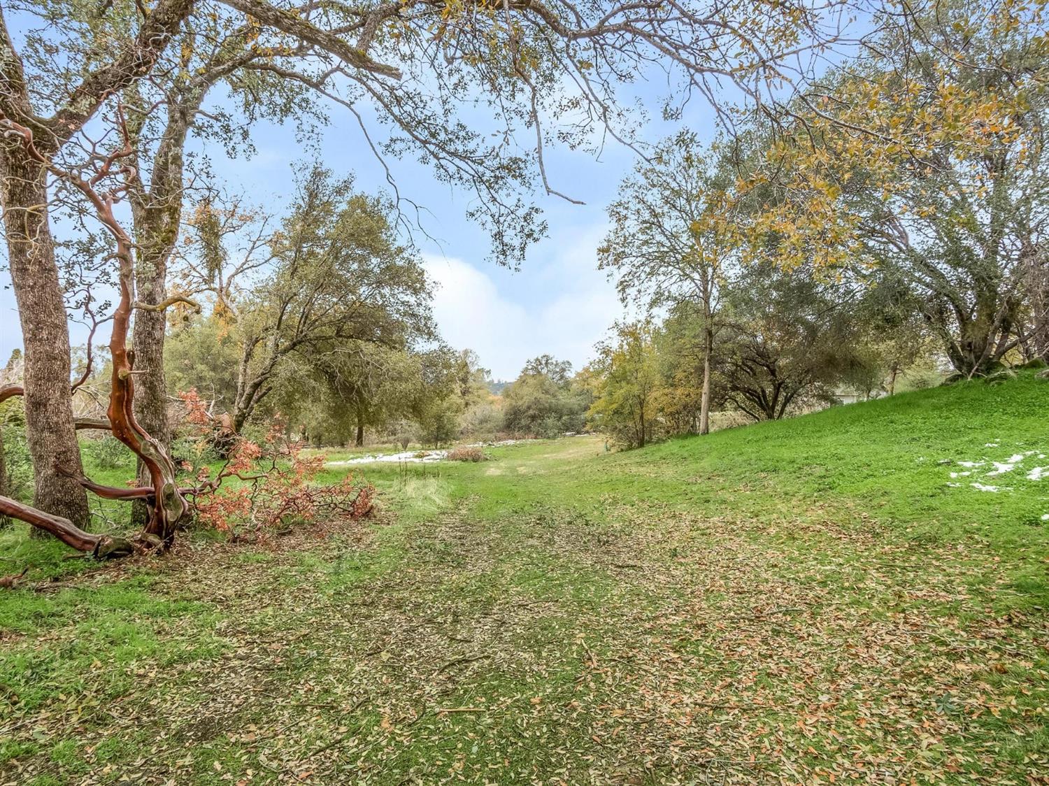 31189 Wyle Ranch Way North Fork, CA 93643 - Photo 41 of 59 Gallery Image 41