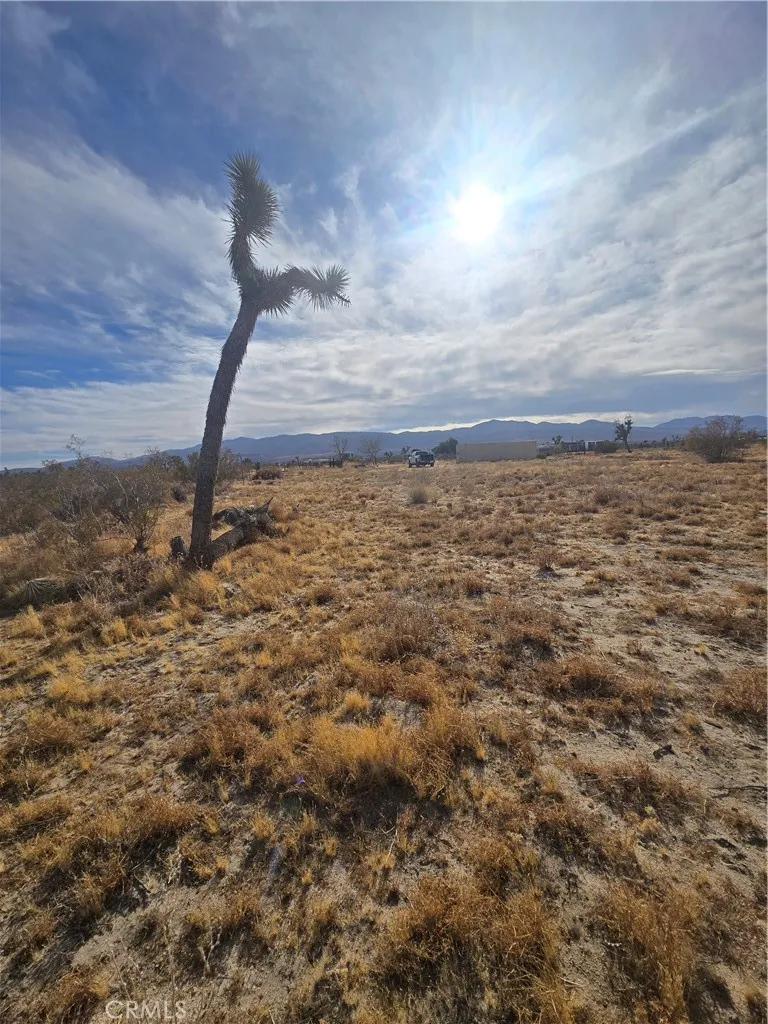0 263rd Street East Pinon Hills, CA 92372 - Photo 6 of 8 a view of a dry yard