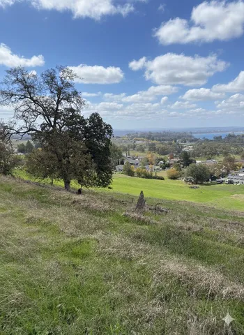 a view of a field with an ocean