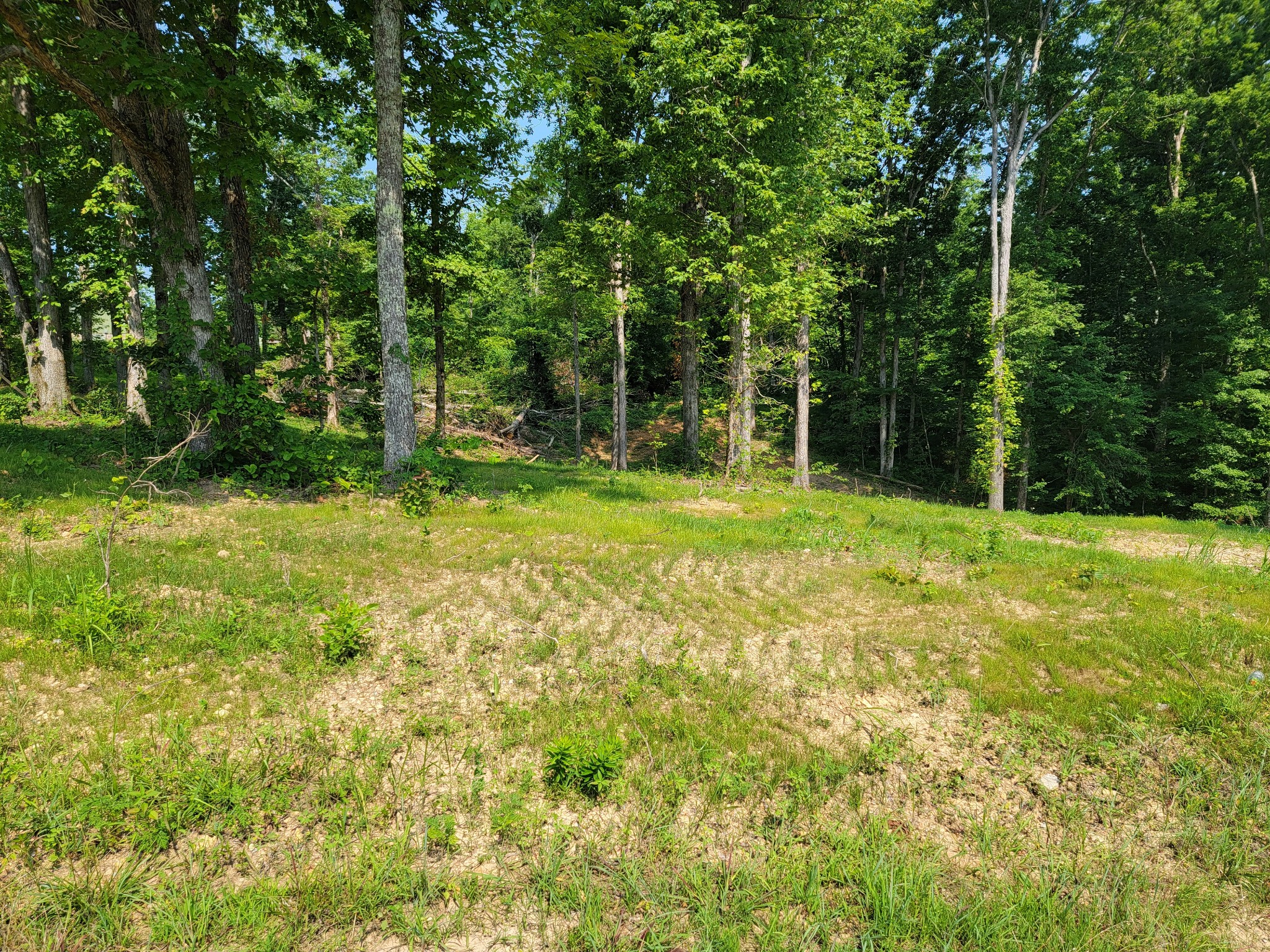 46 Wiggs Branch Road Erin, TN 37061 - Photo 1 of 5 Gallery Image 1