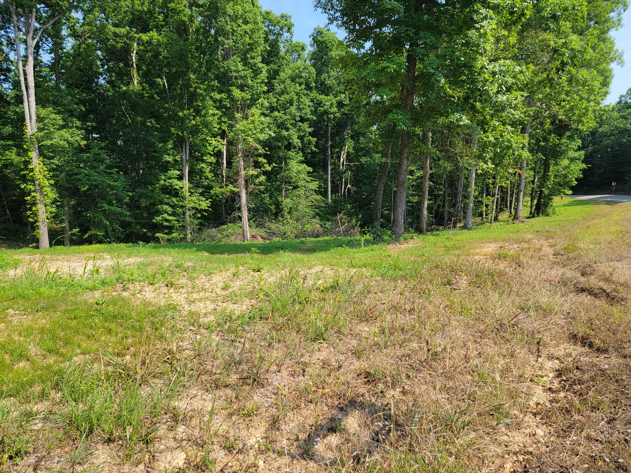 46 Wiggs Branch Road Erin, TN 37061 - Photo 2 of 5 Gallery Image 2