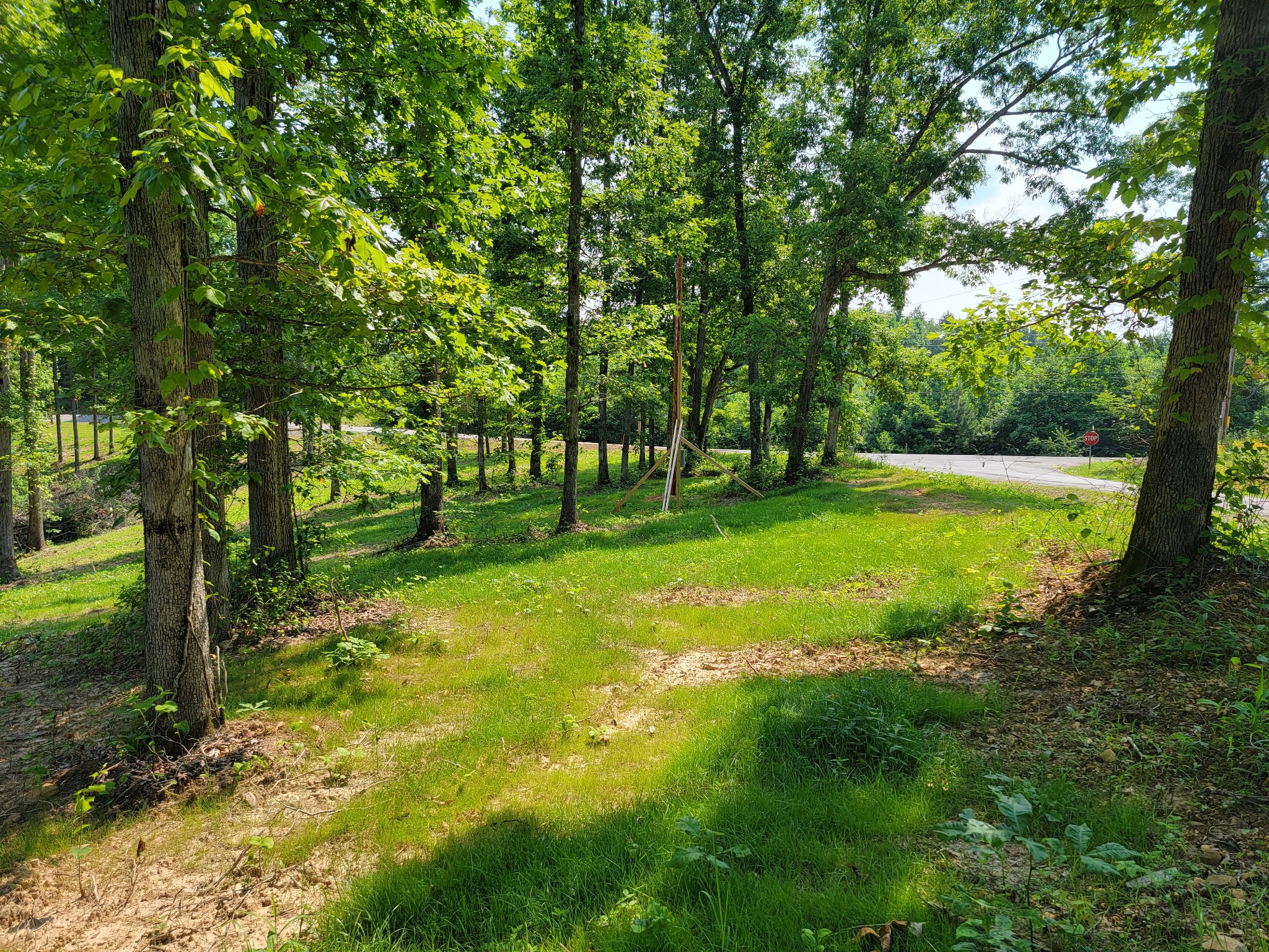 46 Wiggs Branch Road Erin, TN 37061 - Photo 3 of 5 Gallery Image 3