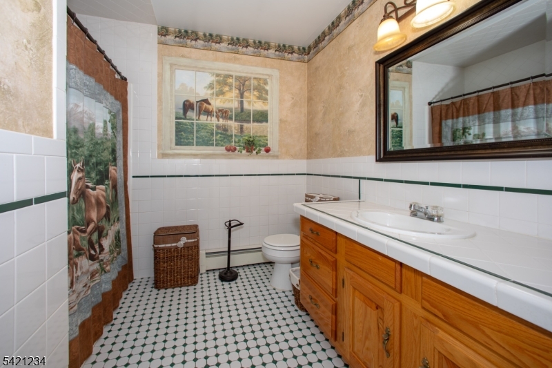 105 Valley Road Wantage, NJ 07461 - Photo 23 of 32 a bathroom with a sink a mirror and a shower