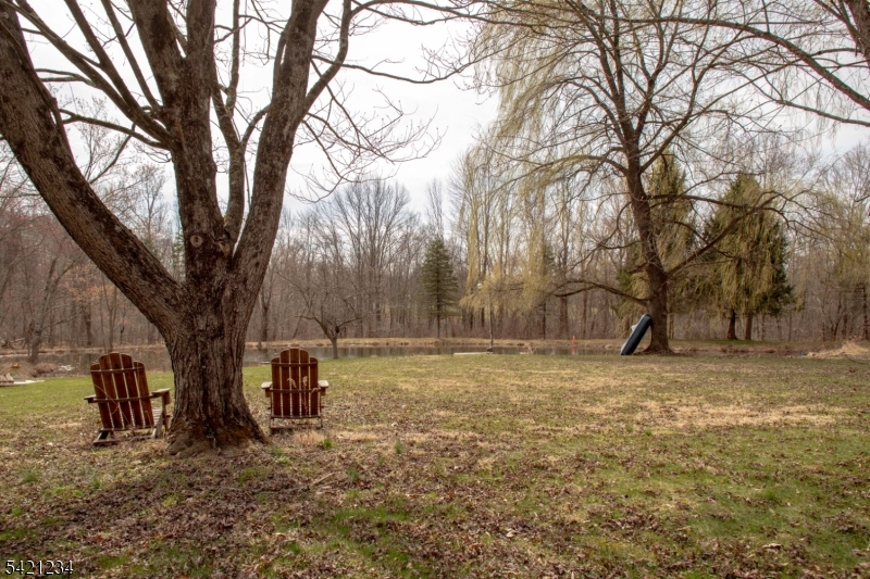 105 Valley Road Wantage, NJ 07461 - Photo 27 of 32 a view of dirt yard with a tree