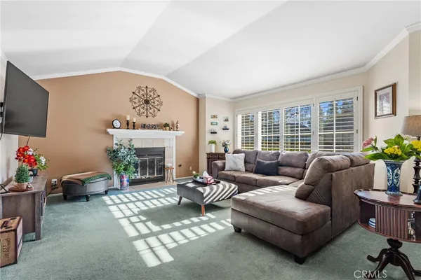 a living room with furniture a flat screen tv and a fireplace
