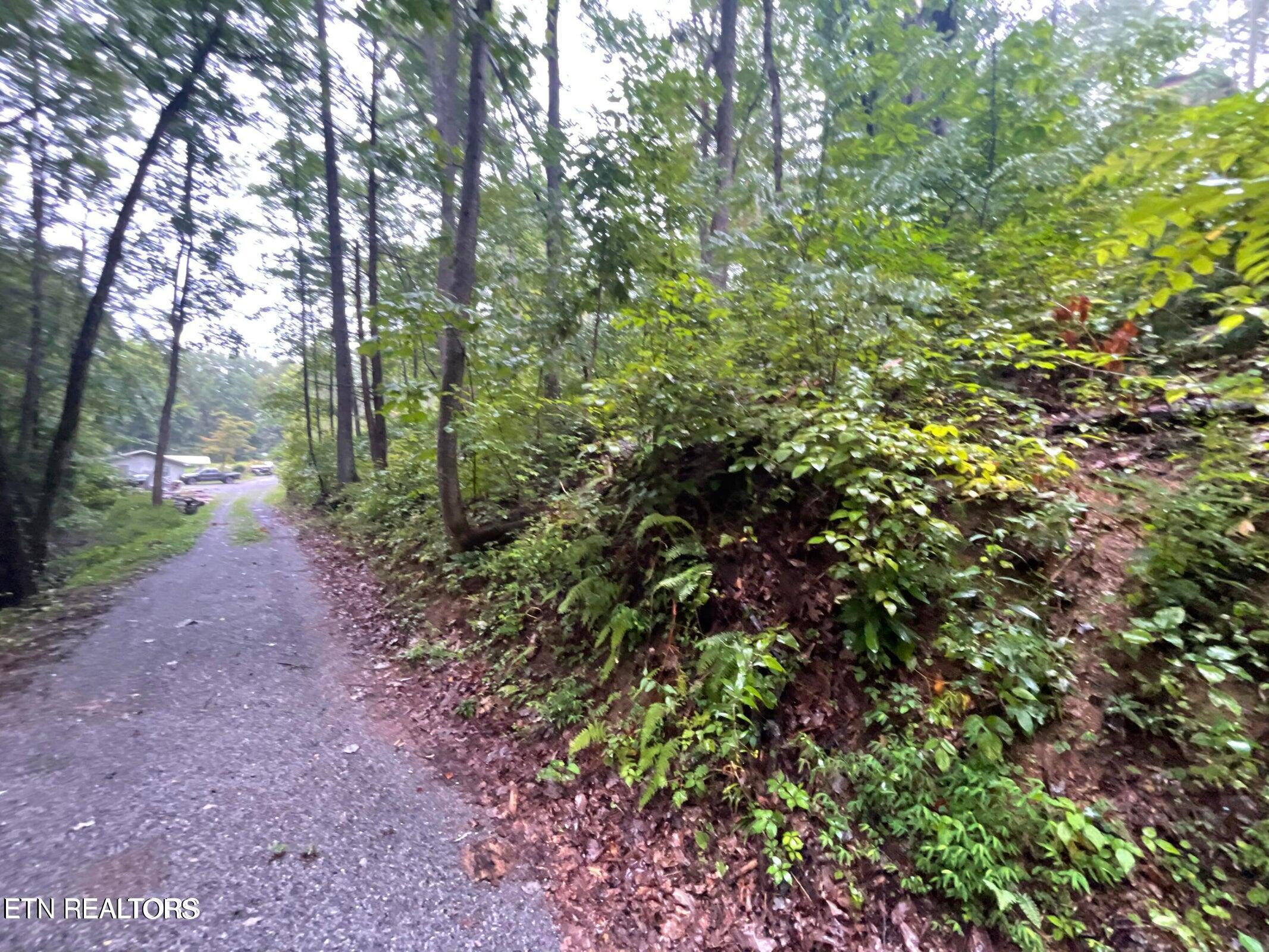 Little Cove Road Sevierville, TN 37862 - Photo 1 of 7 little cove rd pic