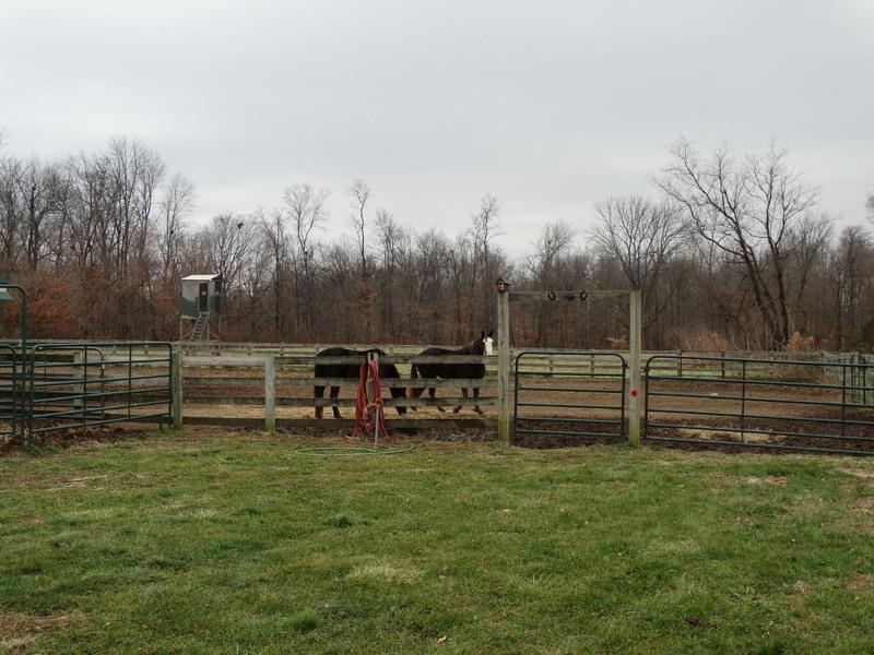 374 Strawberry Hall Road Wheatland, IN 47597 - Photo 13 of 15 Gallery Image 13