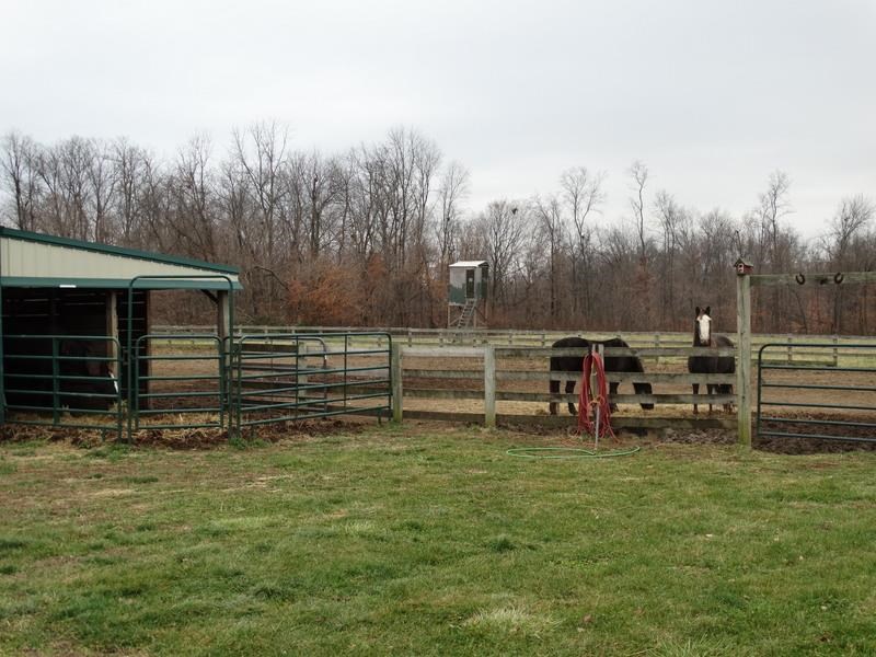 374 Strawberry Hall Road Wheatland, IN 47597 - Photo 14 of 15 Gallery Image 14