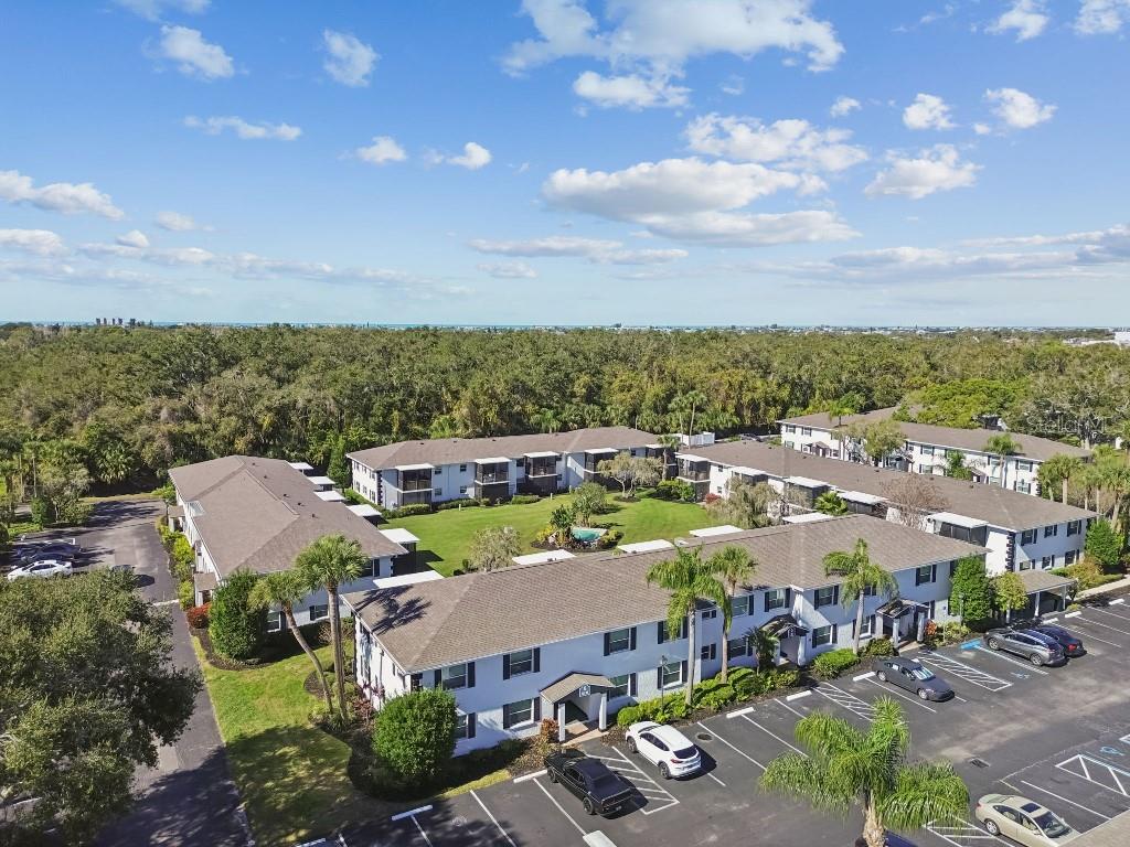 13125 Wilcox Road, Unit 6205 Largo, FL 33774 - Photo 44 of 48