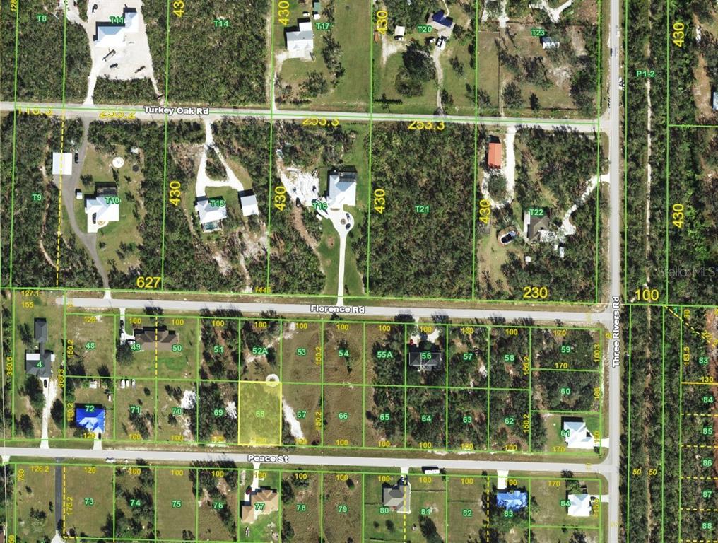 31062 Peace Street Punta Gorda, FL 33982 - Photo 4 of 4