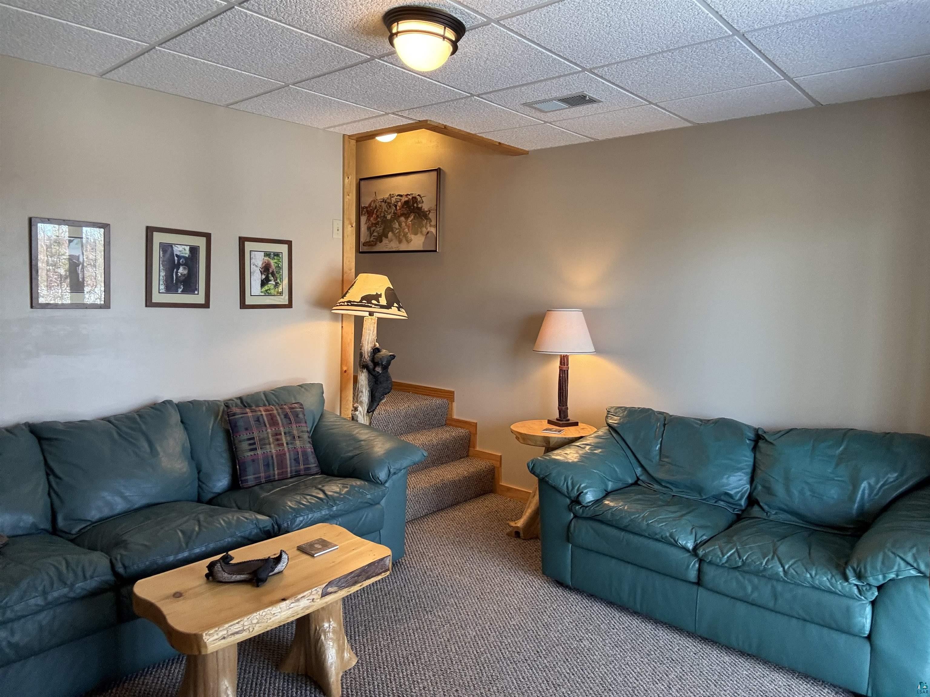 14511 Canadian Border Road Ely, MN 55731 - Photo 22 of 34