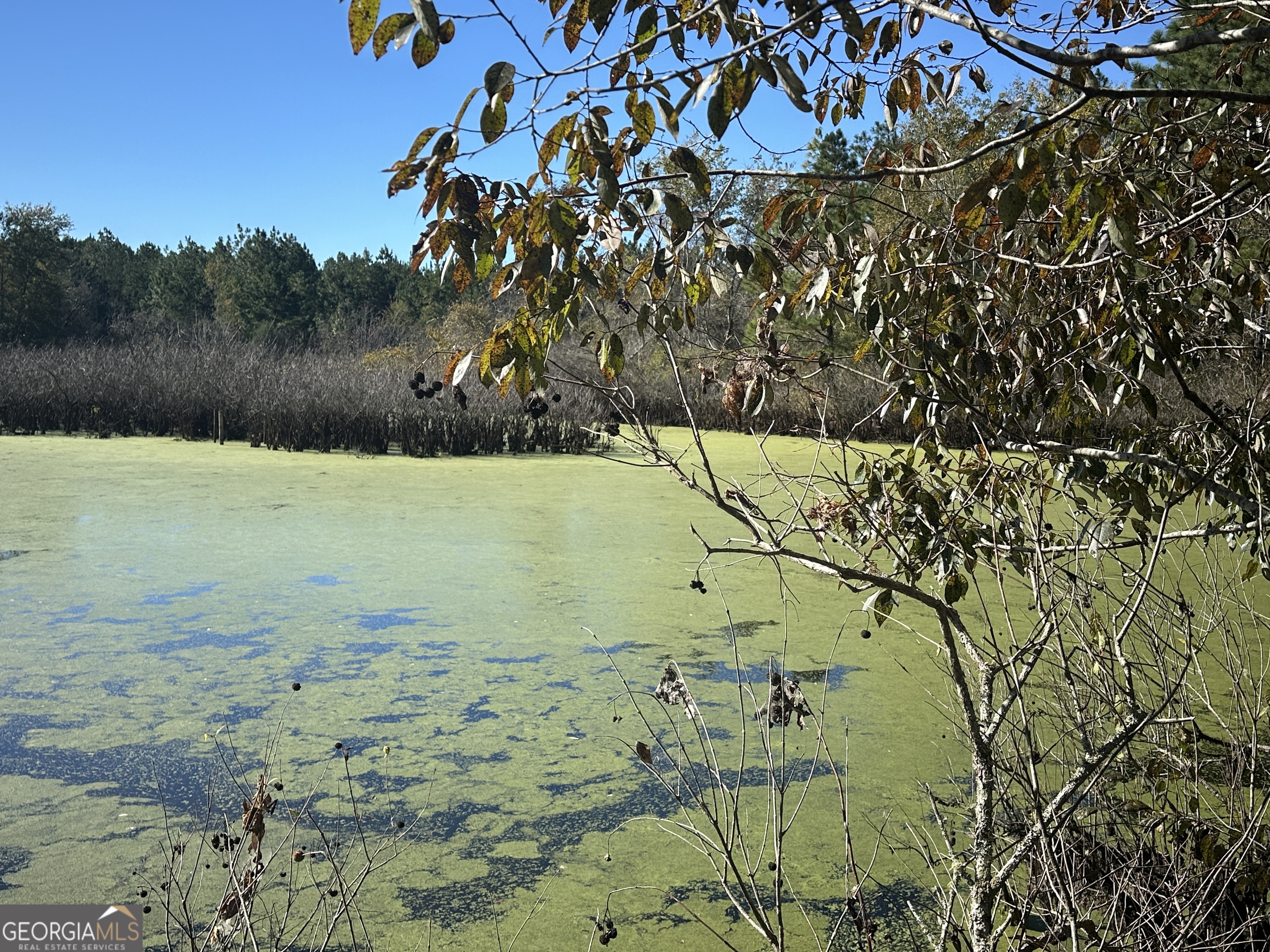 0 Buck Creek Road Sylvania, GA 30467 - Photo 14 of 18 a view of a lake
