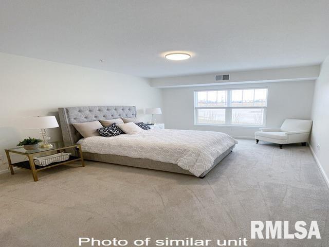 2592 Middle Road, Unit 306 Bettendorf, IA 52722 - Photo 9 of 19 Gallery Image 9