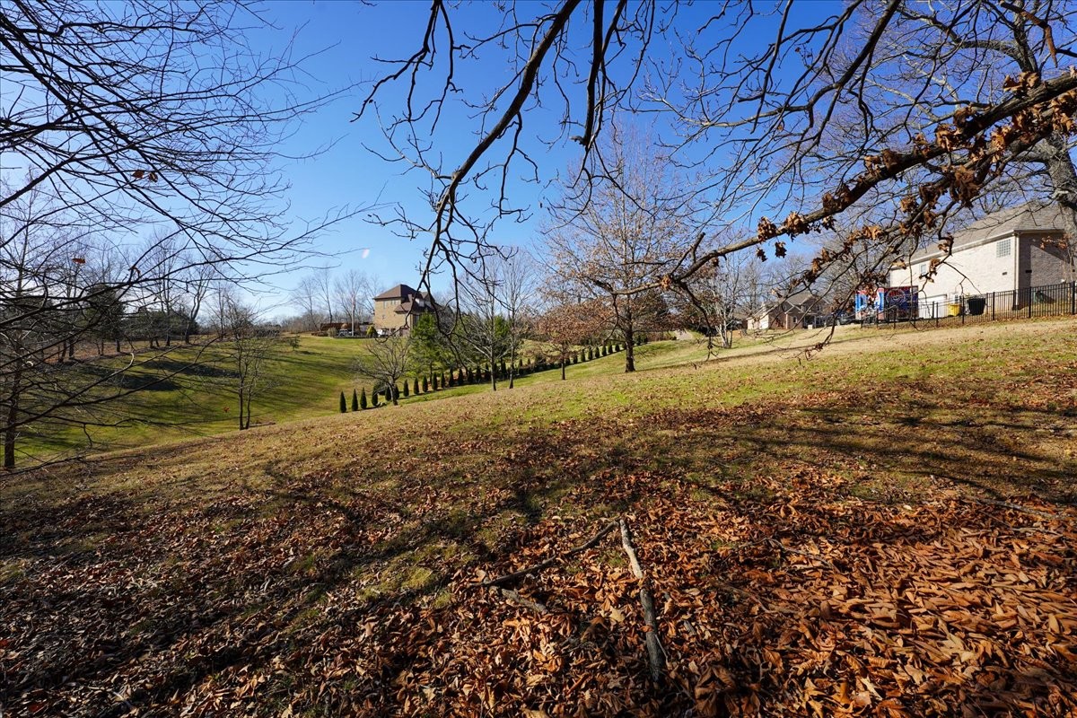 7228 McCormick Lane Fairview, TN 37062 - Photo 19 of 24